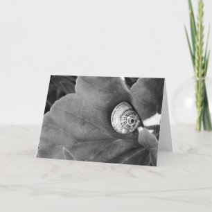 Schnecke Feiertagskarte