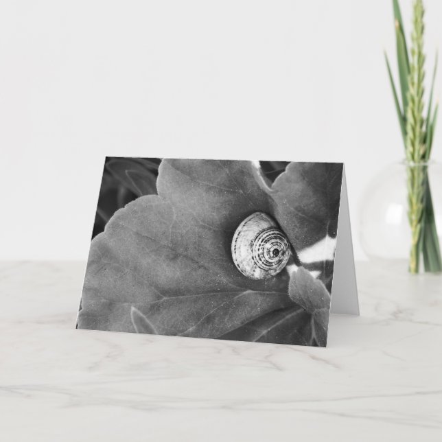 Schnecke Feiertagskarte (Vorderseite)