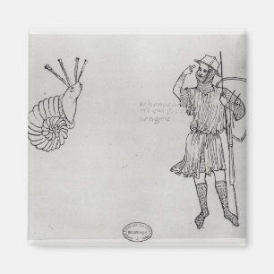 Schnecke Fol.2 und ungarischer Soldat Magnet