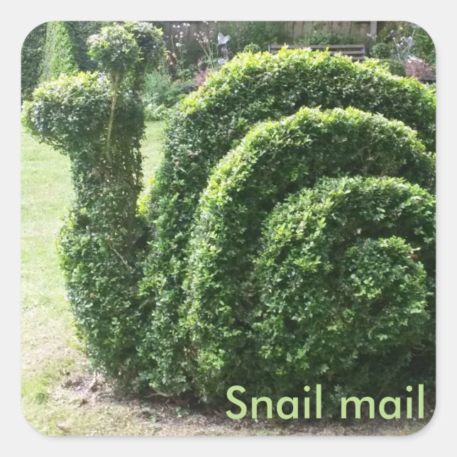 Schnecke Fun Obergarten kletterte grüner Busch Quadratischer Aufkleber (Vorderseite)