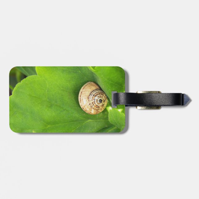 Schnecke Gepäckanhänger (Rückseite horizontal)