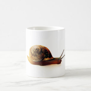 Schnecke Kaffeetasse
