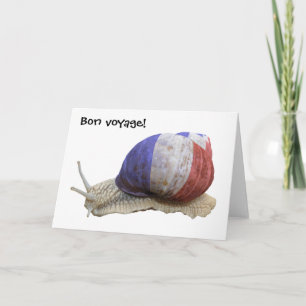 Schnecke Karte