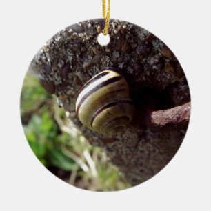 Schnecke Keramik Ornament
