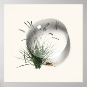 Schnecke Libelle Wassertropfen Abstract  Poster