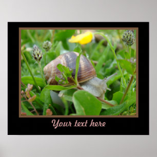 Schnecke mit gelber Blume Poster