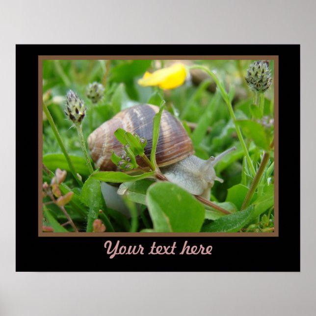 Schnecke mit gelber Blume Poster (Vorne)
