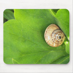 Schnecke Mousepad