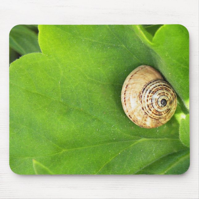 Schnecke Mousepad (Vorne)
