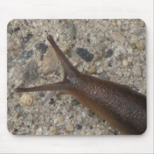 Schnecke Mousepad