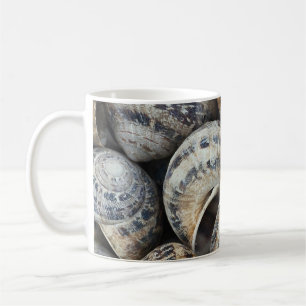 Schnecke-Muscheln Kaffeetasse