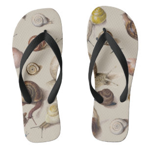 Schnecke Nacktschnecke Garten Haustier Gastropode  Flip Flops