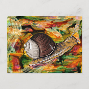 Schnecke Postkarte