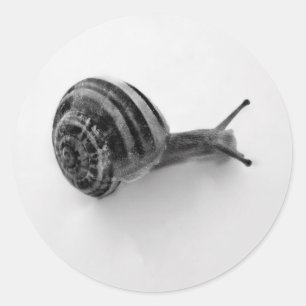Schnecke Runder Aufkleber