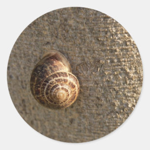 Schnecke Runder Aufkleber