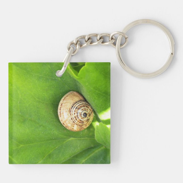 Schnecke Schlüsselanhänger (Rückseite)