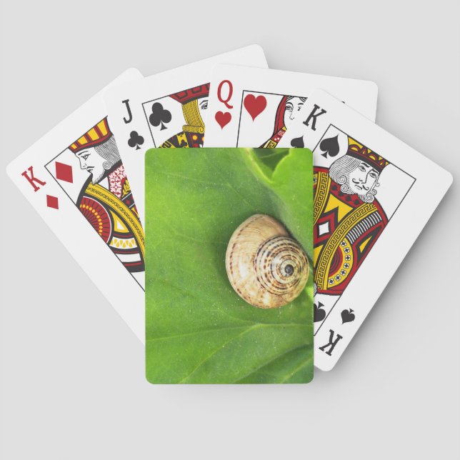 Schnecke Spielkarten (Rückseite)
