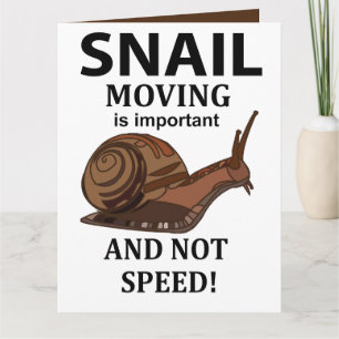 Schnecke Tier Zitat Typografie Schnecke Karte