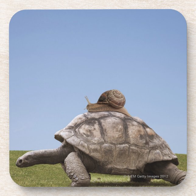 Schnecke über einer Schildkröte Getränkeuntersetzer (Vorderseite)