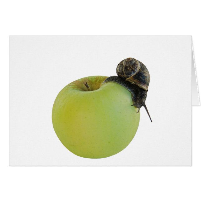Schnecke und Apfel (Vorderseite (Horizontal))