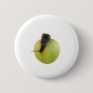 Schnecke und Apfel Button