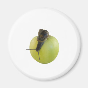 Schnecke und Apfel Magnet