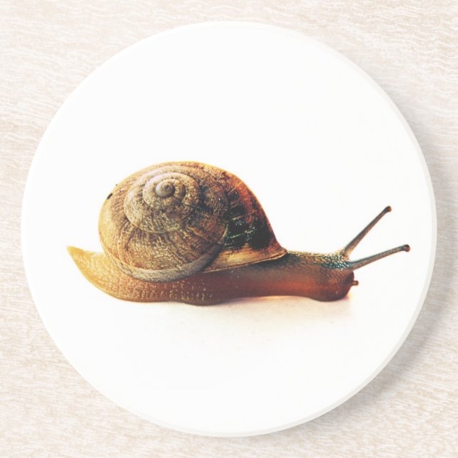 Schnecke Untersetzer (Vorne)