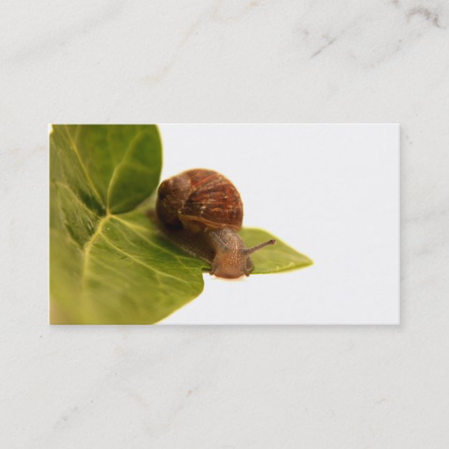 Schnecke-Visitenkarte Visitenkarte (Vorderseite)