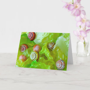 Schnecken auf Salat Karte