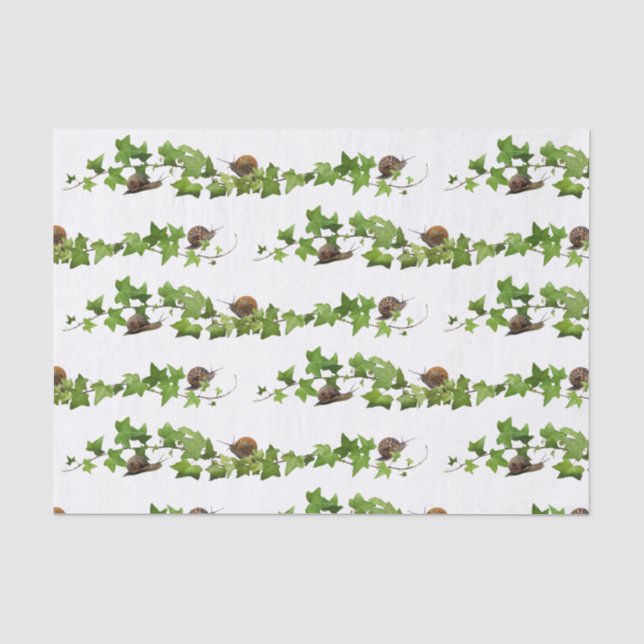 Schnecken aus Ivy-Gewebe Seidenpapier (Vorderseite)
