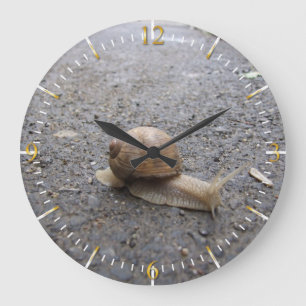Schneckengang Große Wanduhr