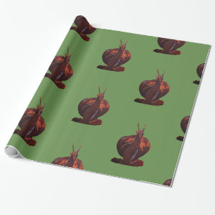 Schneckenpapier Zeichnend glänzendes Wrapping Pape Geschenkpapier