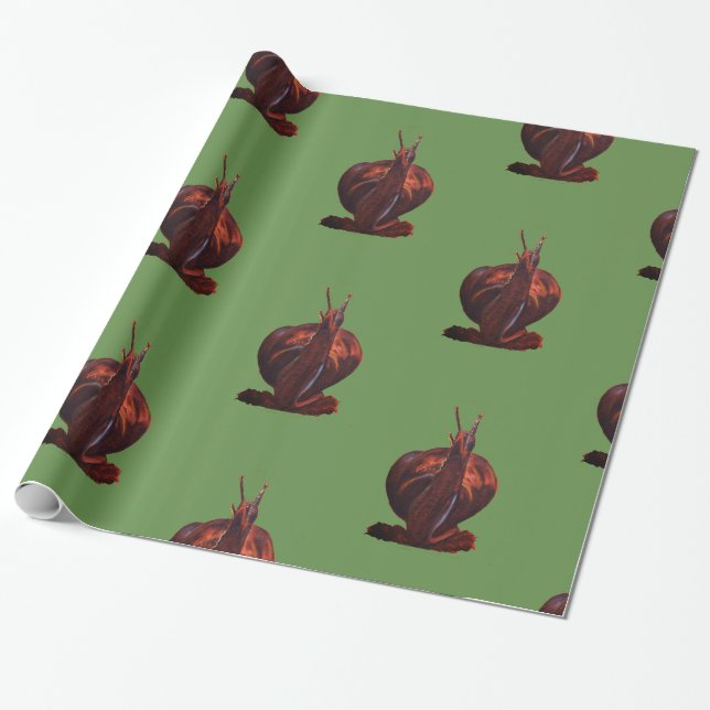 Schneckenpapier Zeichnend glänzendes Wrapping Pape Geschenkpapier (Ungerollt)