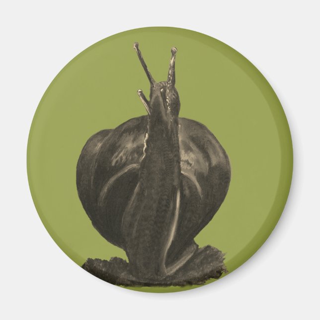 Schneckenpasten Zeichnend Rundmagazin Magnet (Vorne)