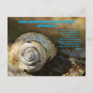 Schneckenpost Postkarte