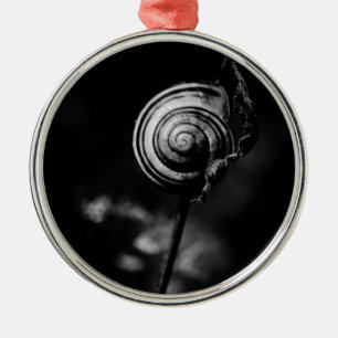 Schneckenschwanz Silbernes Ornament