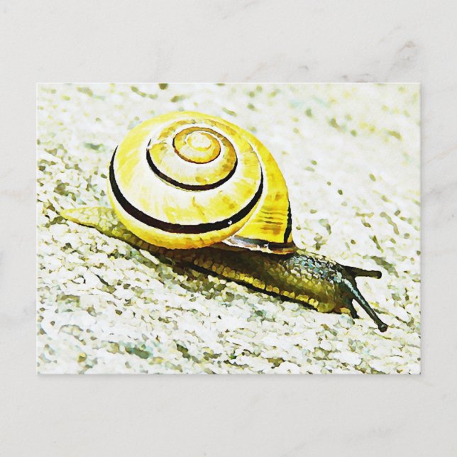 Schneckentempo Postkarte (Vorderseite)