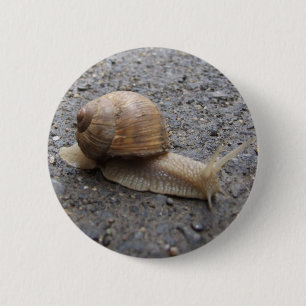 Schneckenwanderung Button
