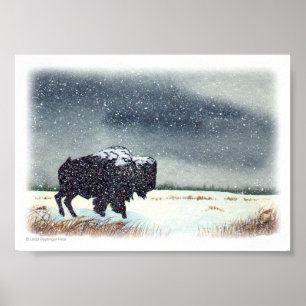 Schnee abgewischte Bison-Malerei Poster