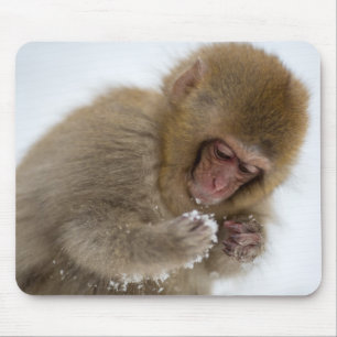 Schnee-Affe Babyjapanischer Macaque- Mousepad