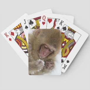 Schnee-Affe Babyjapanischer Macaque- Spielkarten