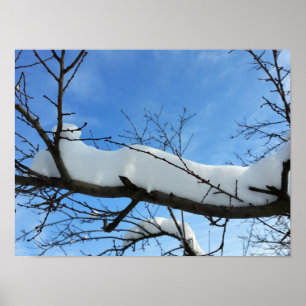 Schnee auf Ästen Poster