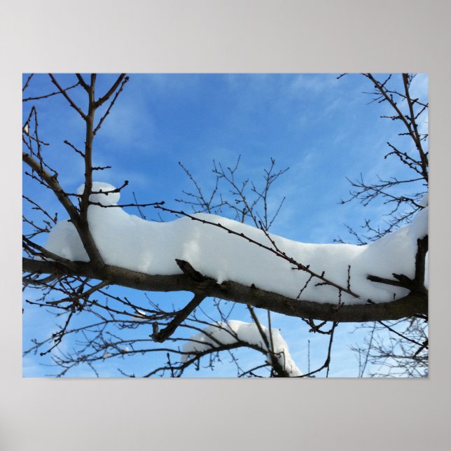 Schnee auf Ästen Poster (Vorne)