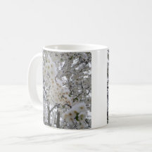 Schnee auf Blüten
