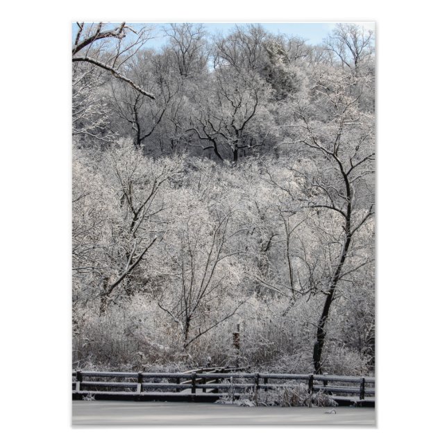 Schnee auf dem Teich Fotodruck (Vorne)