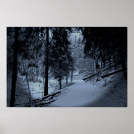 Schnee auf dem Wanderweg 3 Poster