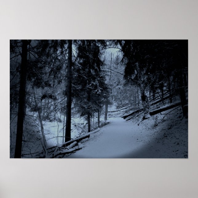 Schnee auf dem Wanderweg 3 Poster (Vorne)