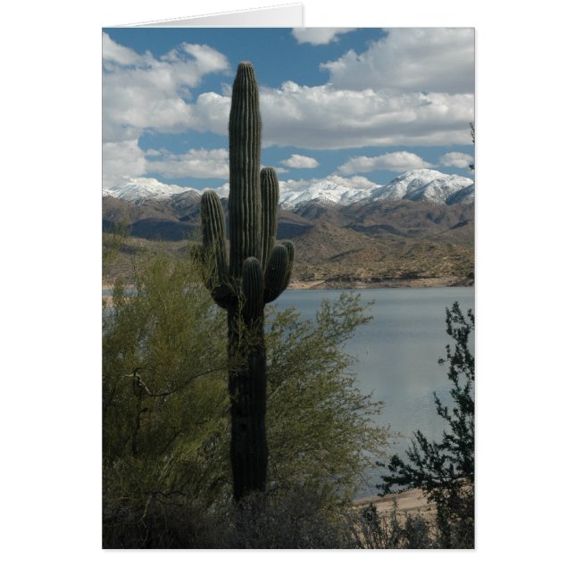 SCHNEE AUF DEN KÜSTEN (Vorne)