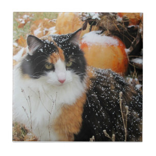 Schnee auf der Calico-Katze Fliese