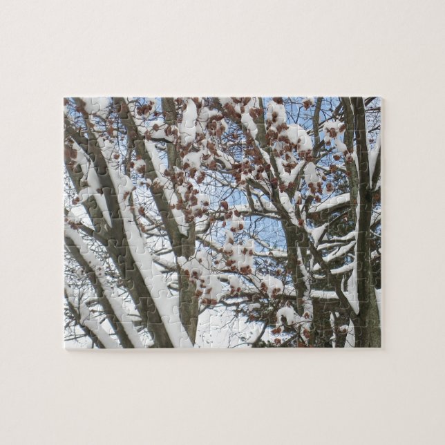 Schnee auf einem japanischen Ahorn — (Horizontal)